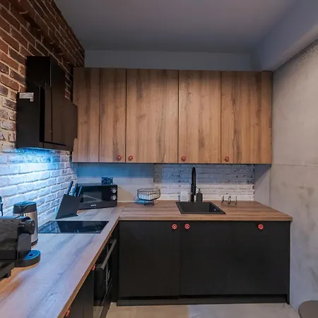 Apartment The Old Town Industrial Vault - A Fusion Of Past & Present